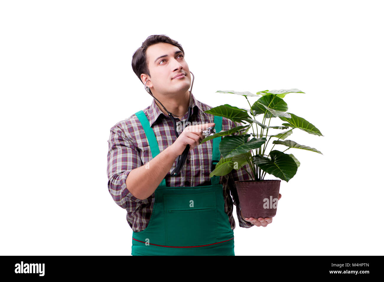 Young man gardener isolated on white Stock Photo - Alamy