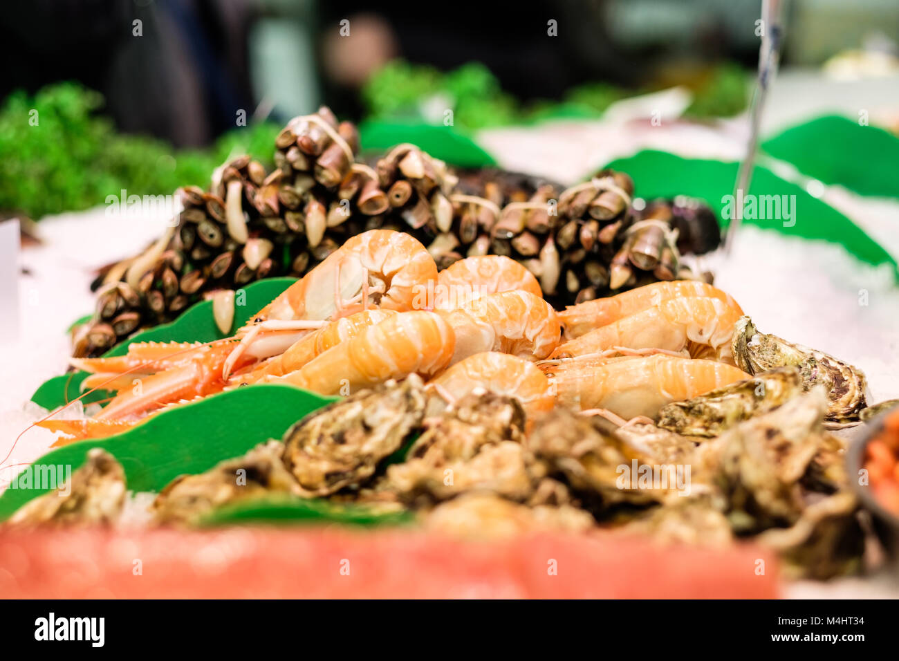 Razor clams spain hires stock photography and images Alamy