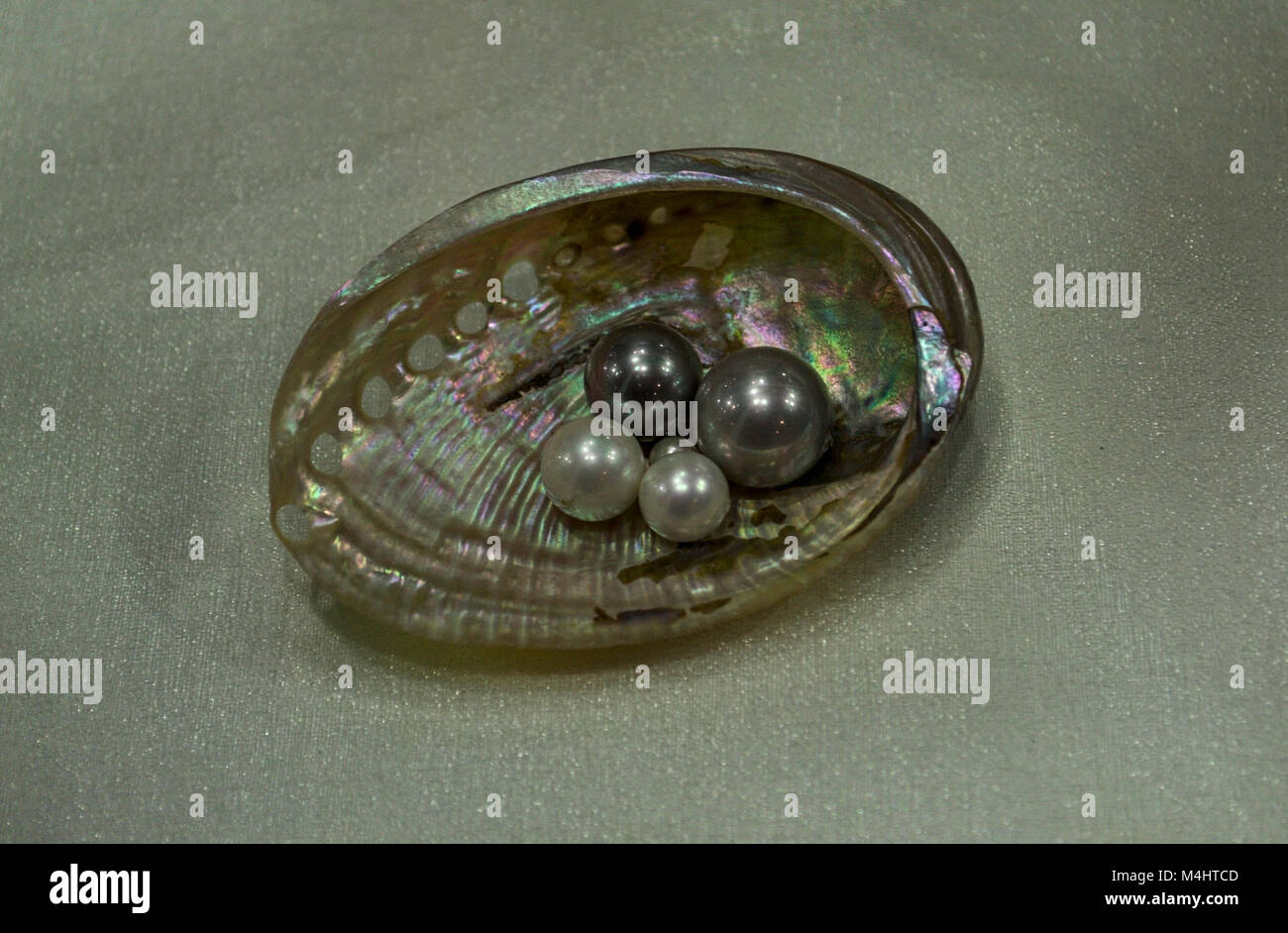 Pearls in oyster shell, close up view Stock Photo