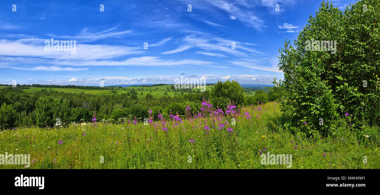 Meadow landscape in summer hires stock photography and images Alamy