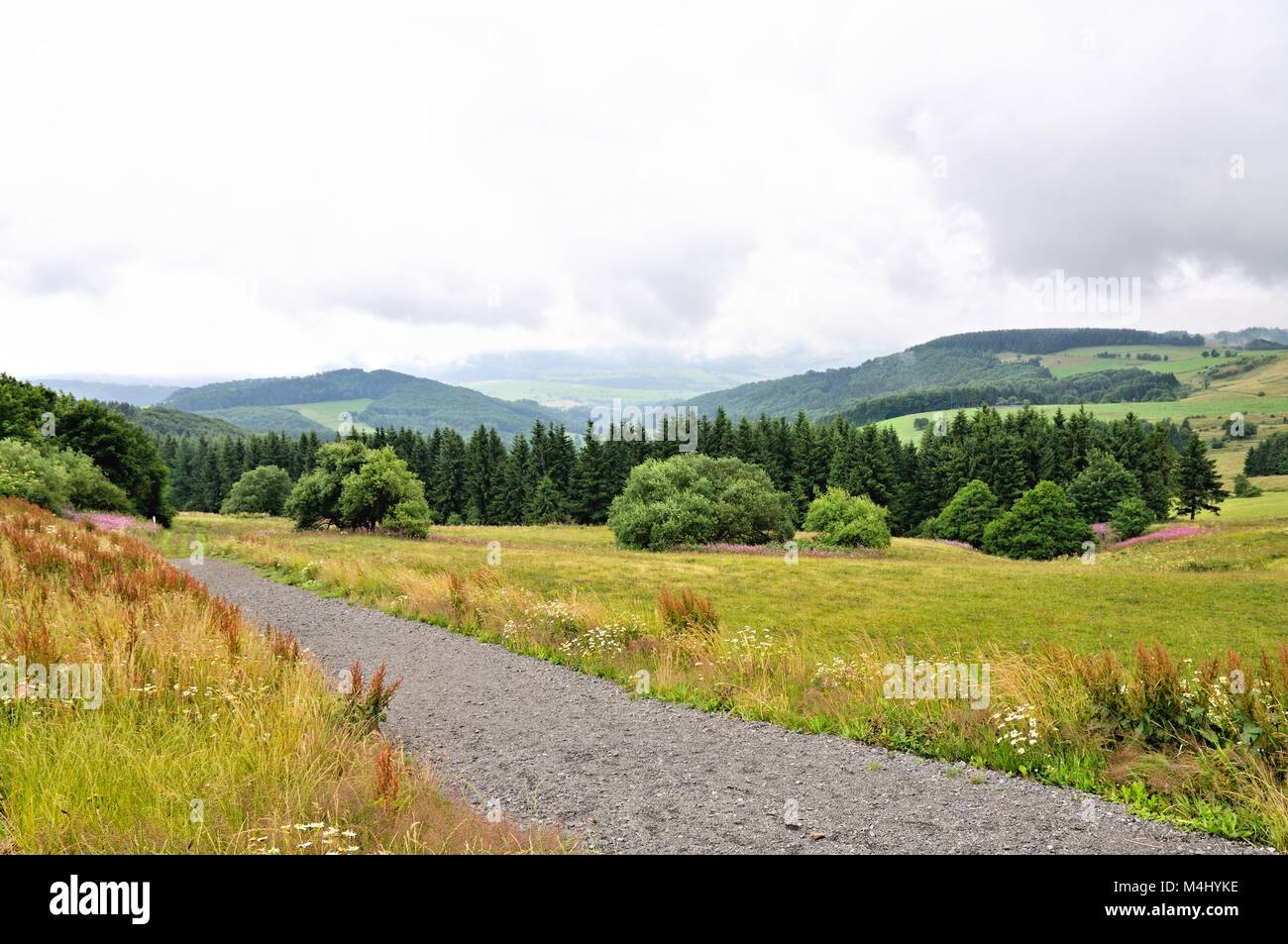 Hiking area on the Wasserkuppe Rhön Germany Stock Photo - Alamy