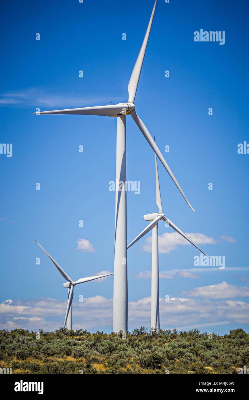 wind turbines generating electricity on a windy sunny day Stock Photo ...