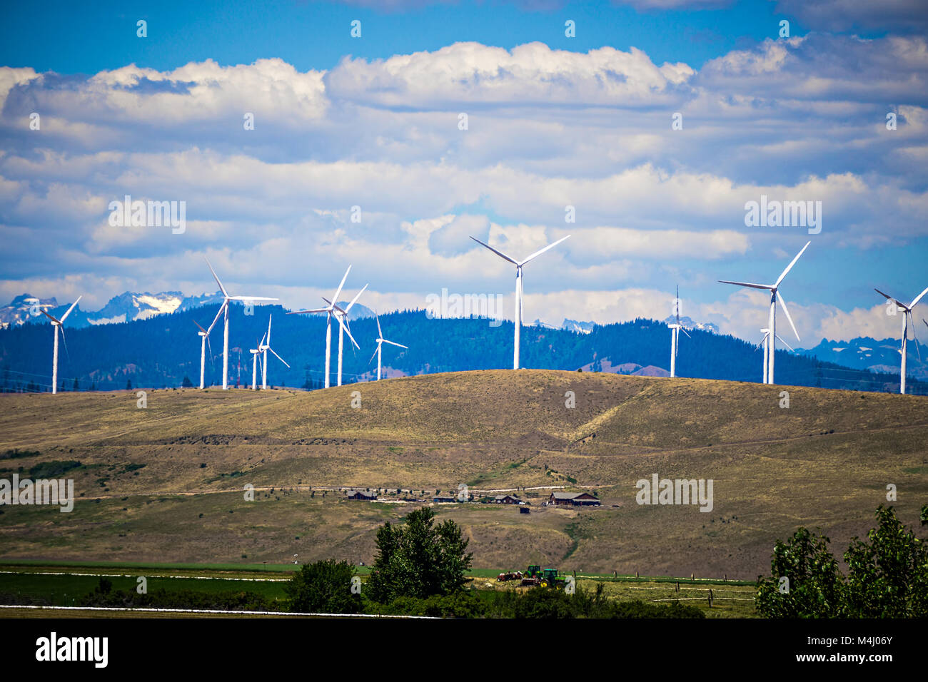 wind turbine farm with wenatchee mountains in the background Stock