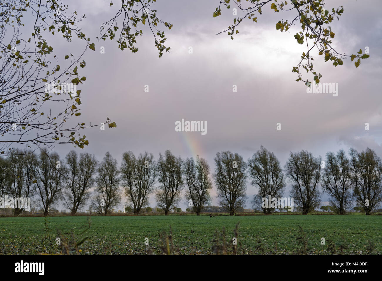 Rainbow after a storm Stock Photo - Alamy