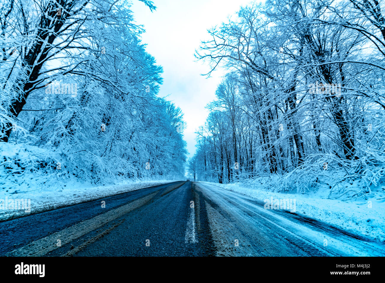 winter forest road Stock Photo - Alamy