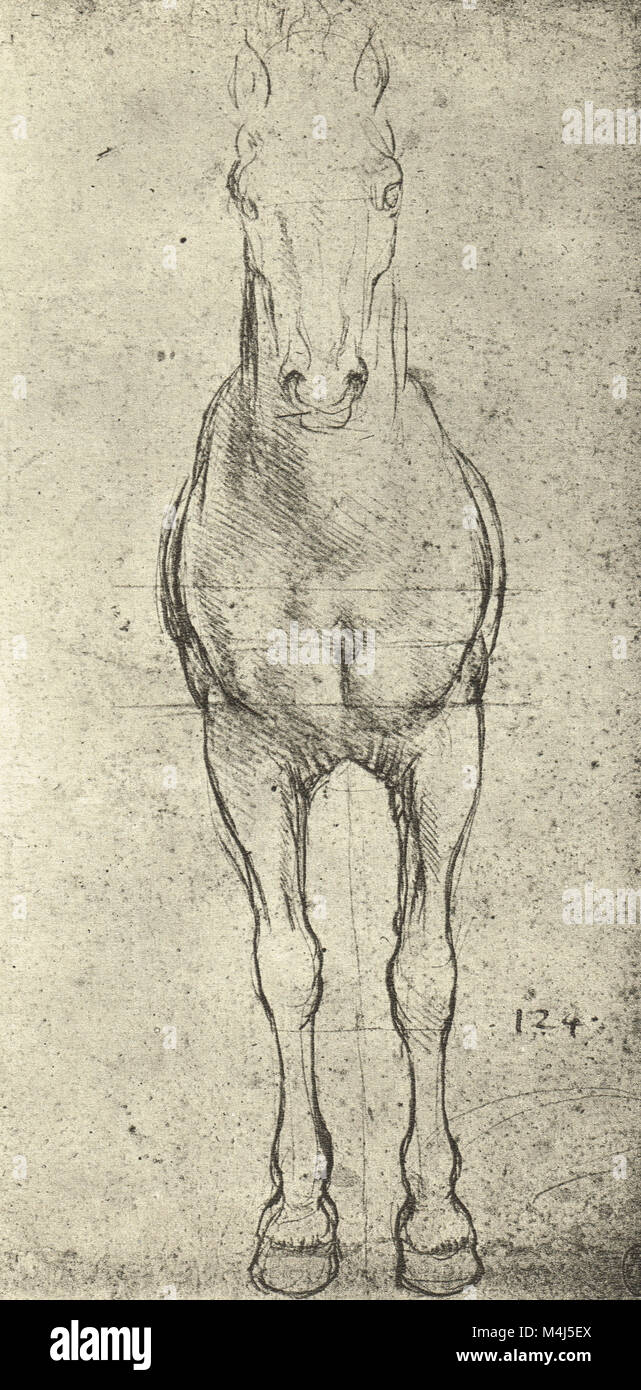 A Horse seen from the front, equine Anatomical drawing, drawn by Leonardo Da Vinci, 1452-1519 Stock Photo