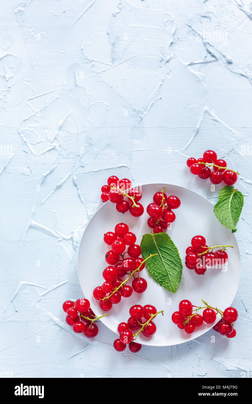 Bunches of red currants on a white plate. Stock Photo