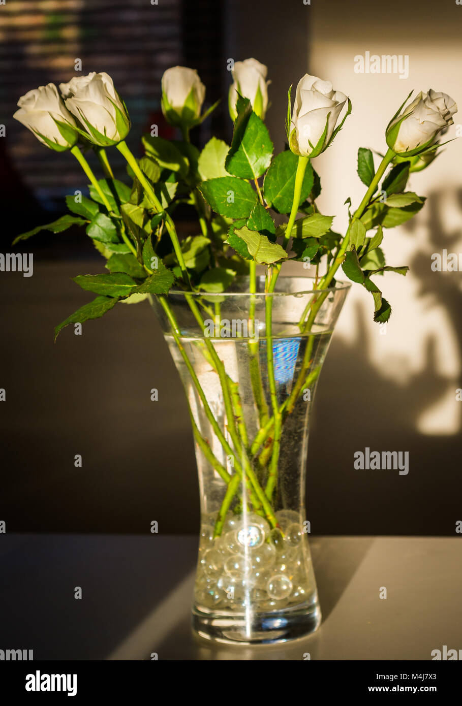 Close Up Still Life Of Sunlit White Roses In Glass Vase With