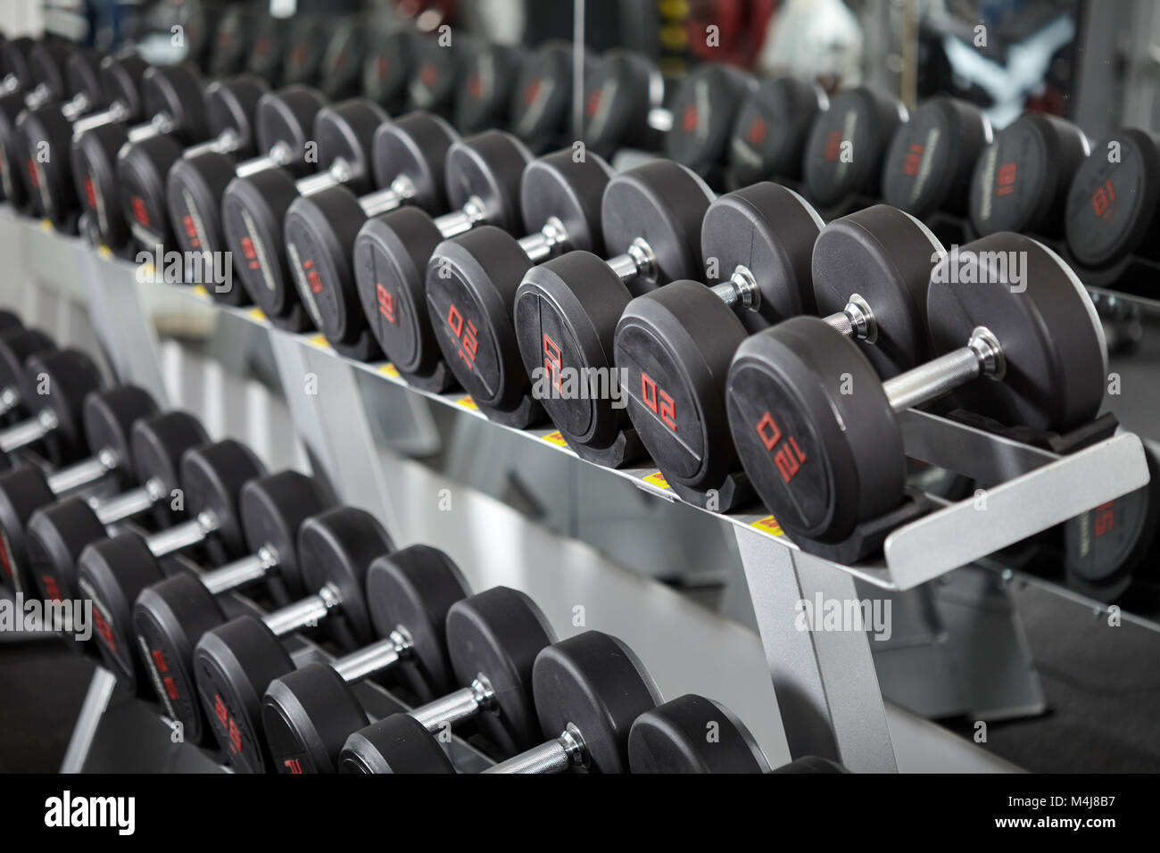 Dumbbell Rack Row Rows of many dumbbells on a rack in the gym Stock Photo - Alamy