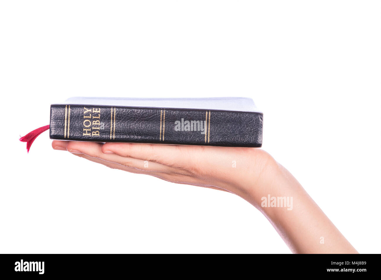 Woman hand holding the Holy Bible on white background. Focus on text. Stock Photo