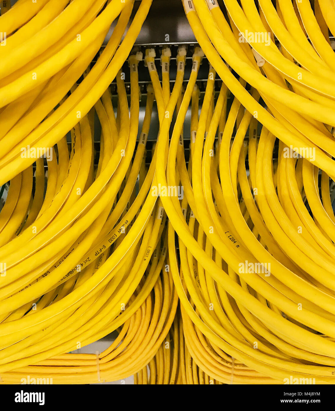 Network Cub Network cable on a network HUB Stock Photo - Alamy