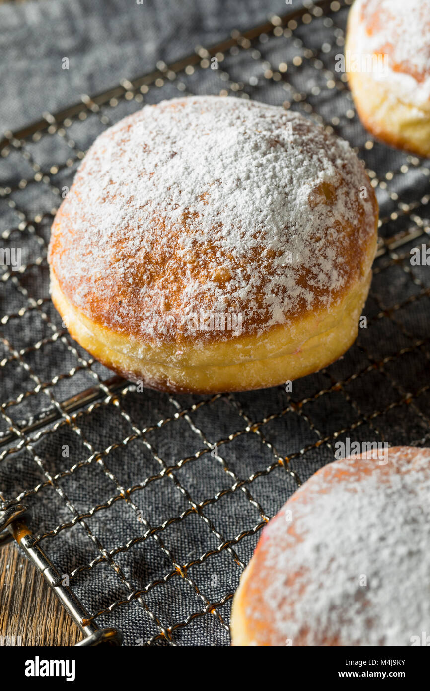 Gourmet Homemade Polish Paczki Donuts with Jelly Filling Stock Photo ...