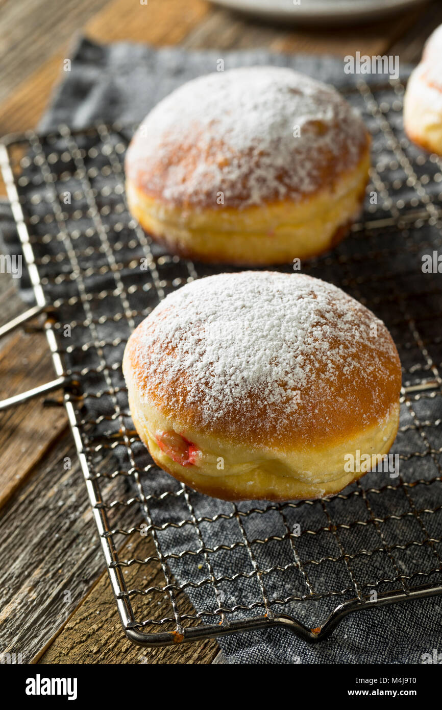 Gourmet Homemade Polish Paczki Donuts with Jelly Filling Stock Photo