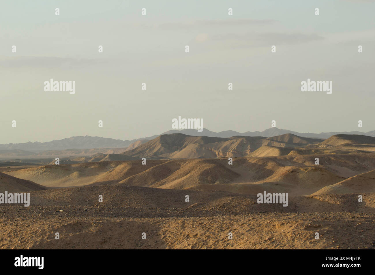 Wadi el Gamal national park Stock Photo