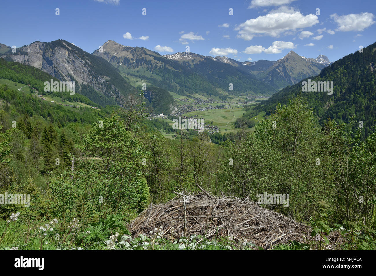Bregenz Forest; Alps; Austria; Europe; Stock Photo