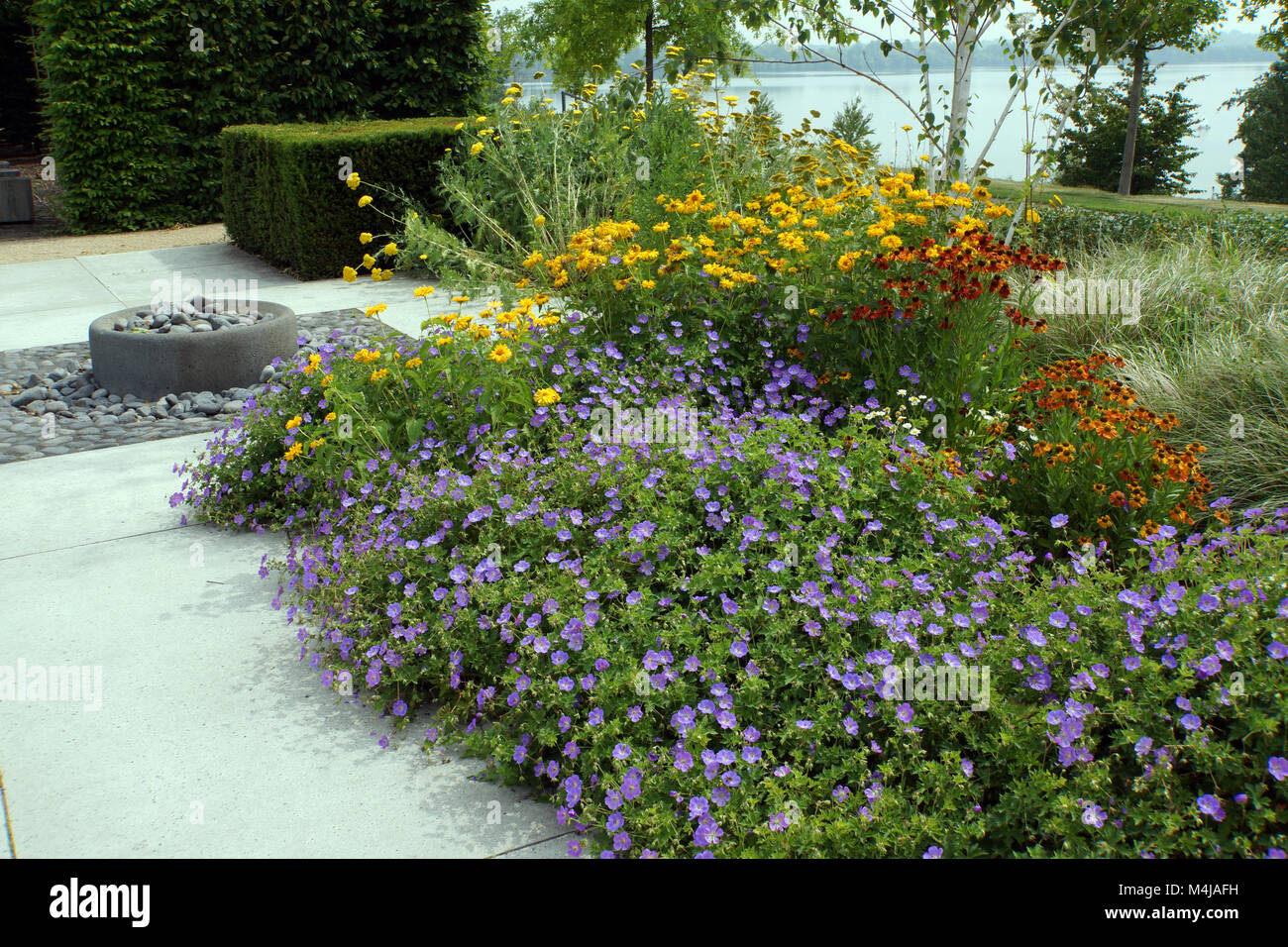 colourful flower bed Stock Photo