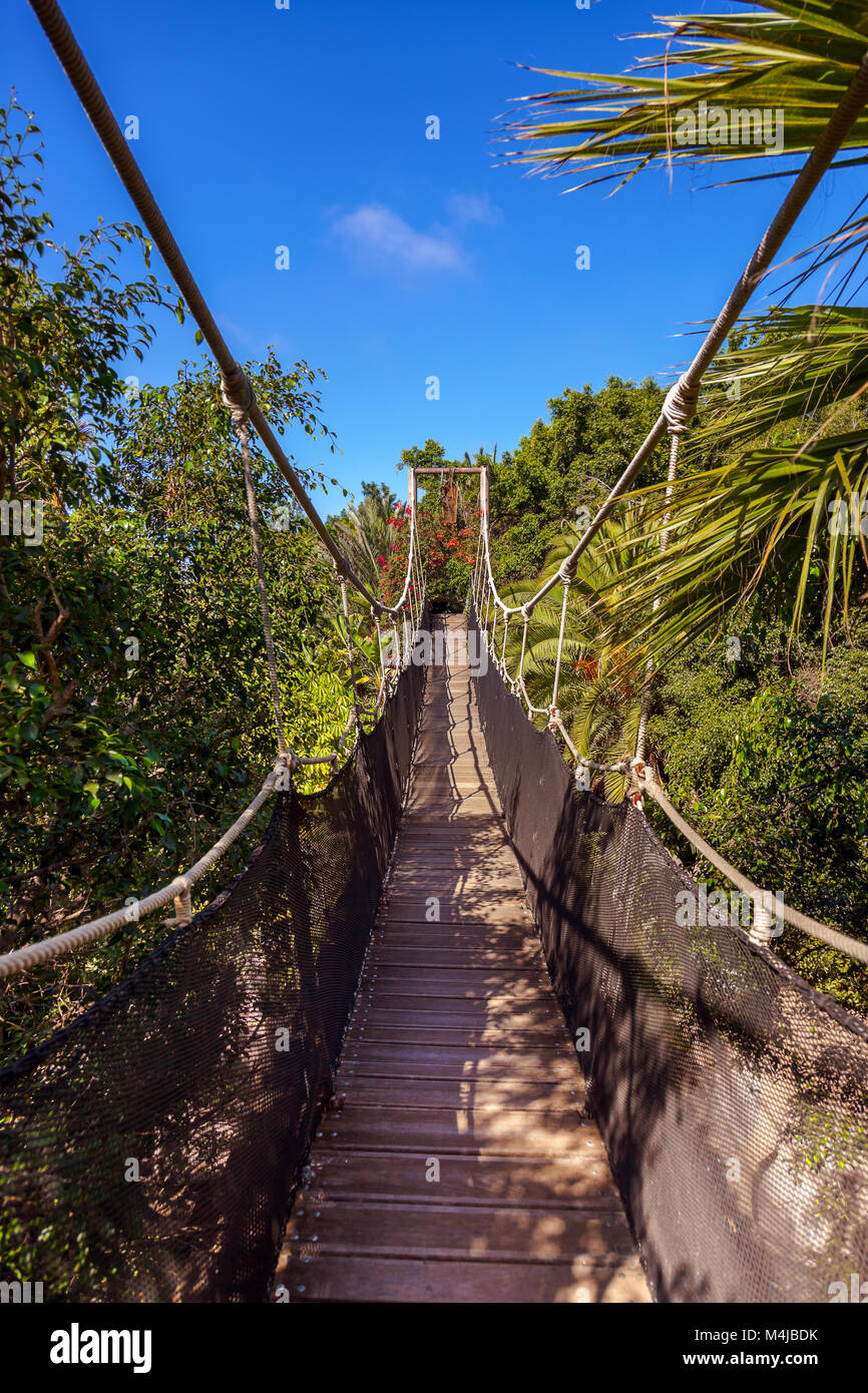Footpath in jungle - Tenerife Canary islands Stock Photo