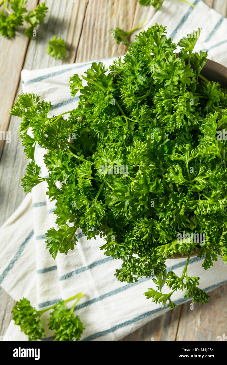 https://c8.alamy.com/comp/M4JC54/raw-green-organic-curly-parsley-ready-to-cook-with-M4JC54.jpg