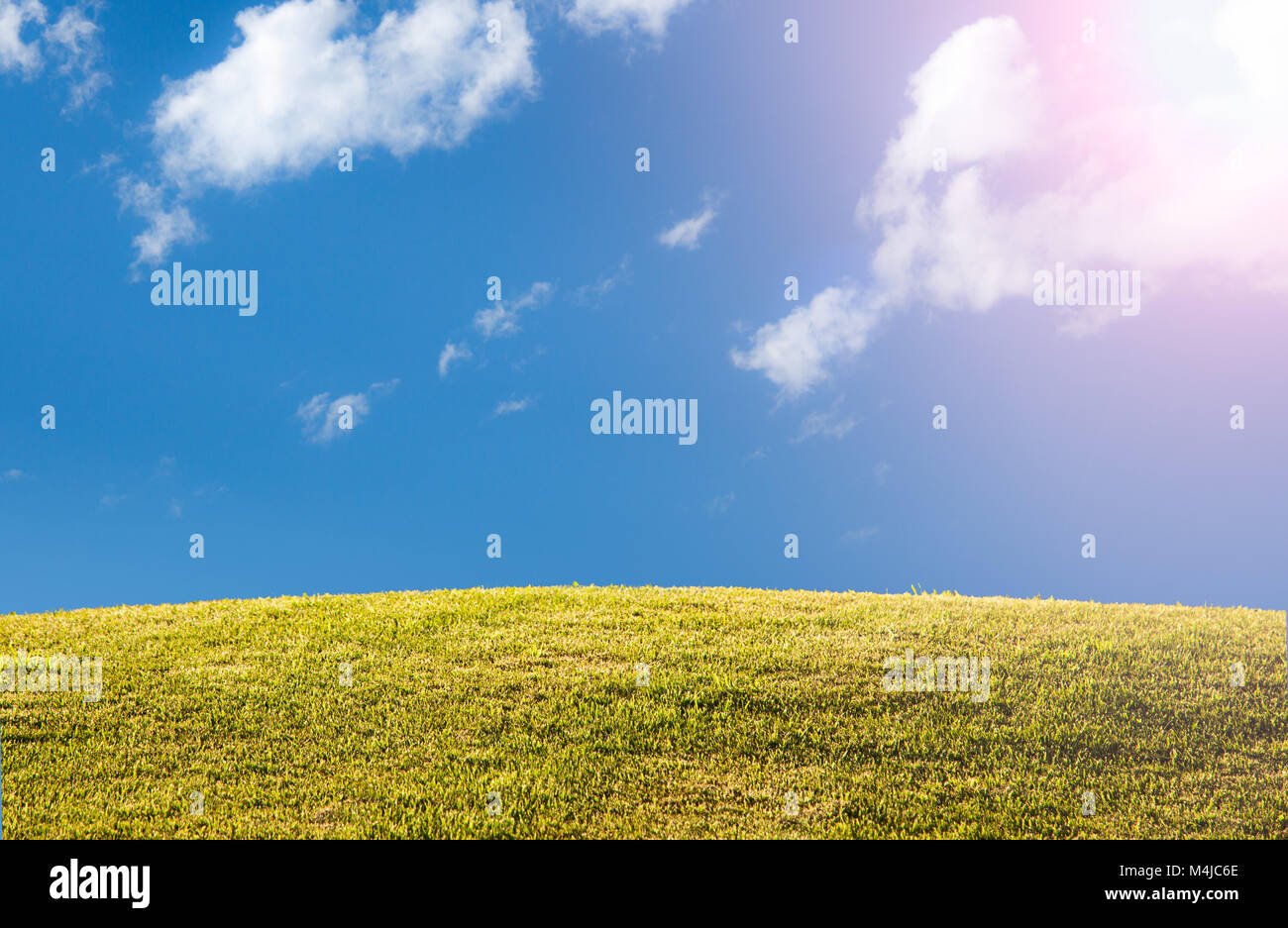 Green grassy lawn or meadow with blue sky and sun flare Stock Photo