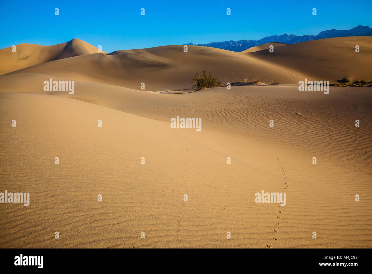 Death valley california hot hi-res stock photography and images - Alamy