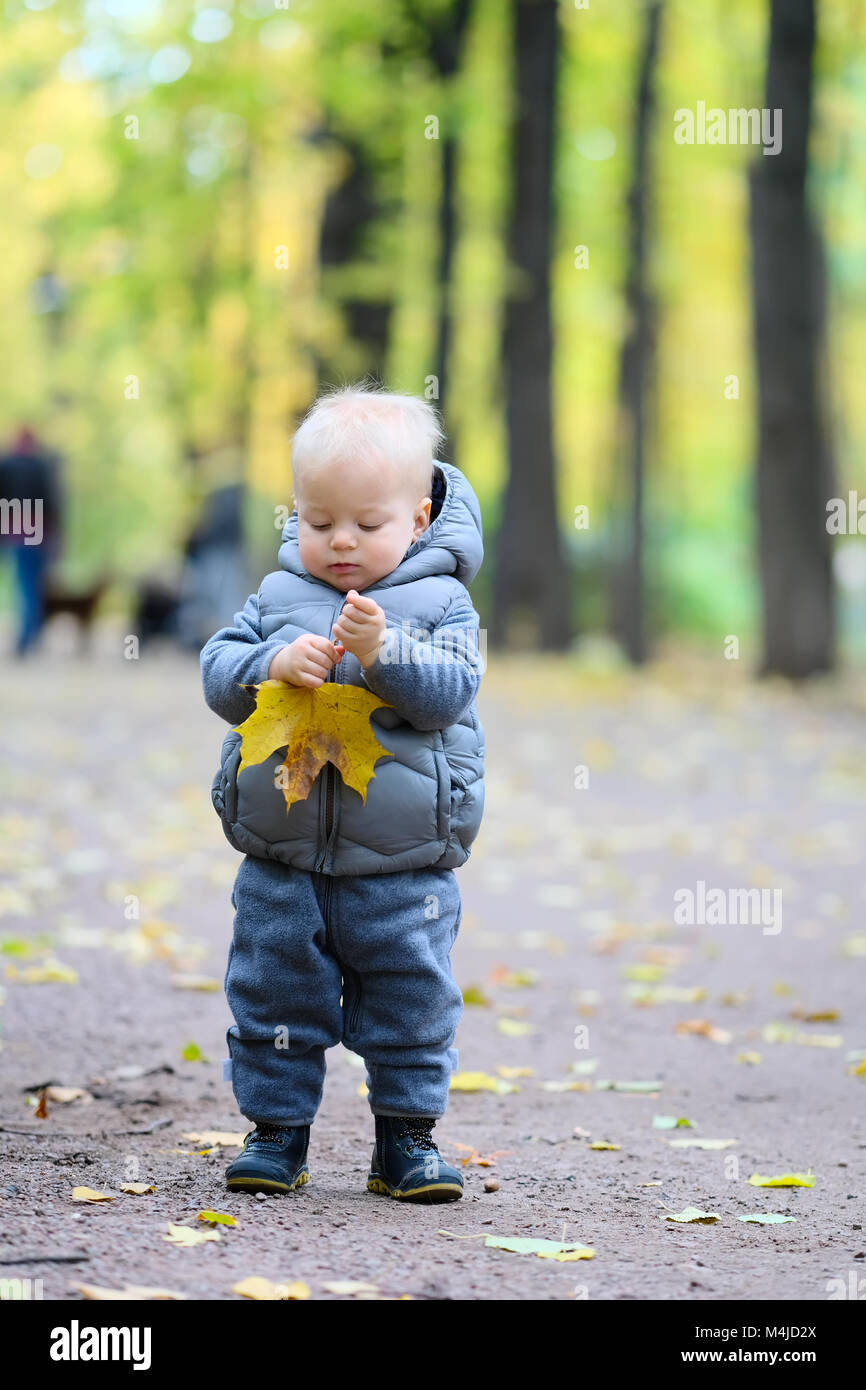 Baby boy with yellow autumn maple leaf Stock Photo - Alamy