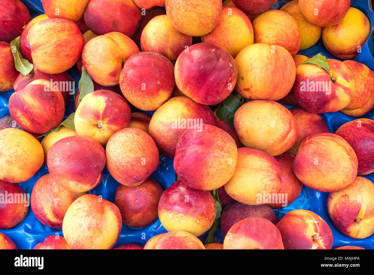 Nectarines for sale at a market in Palermo, Sicily Stock Photo Alamy