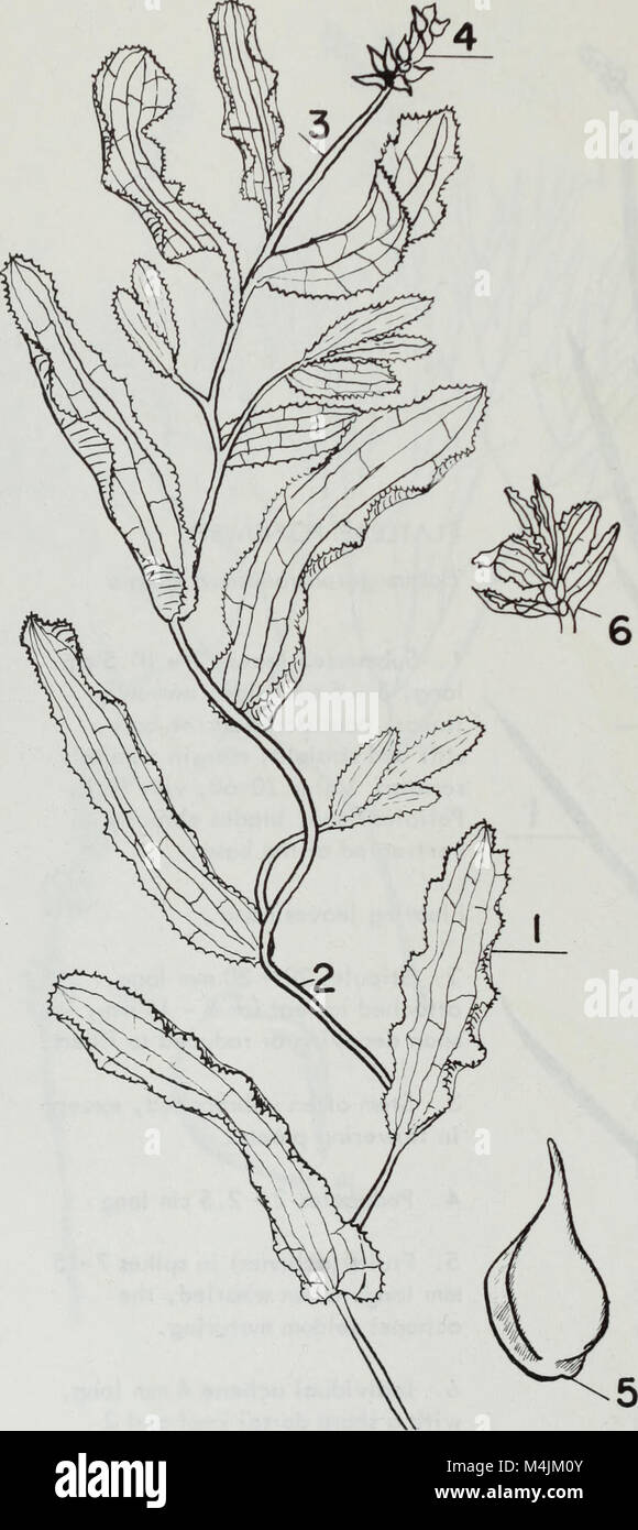 Aquatic plants of Illinois; an illustrated manual including species