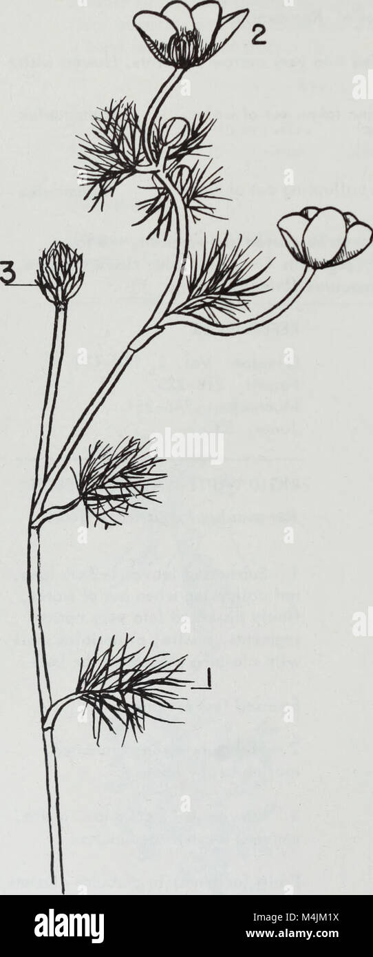 Aquatic plants of Illinois; an illustrated manual including species