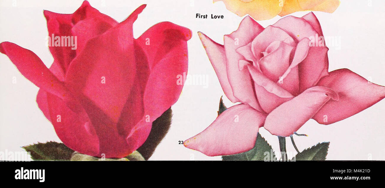 *Armstrong Nurseries* (1952) is a catalog of nursery plants and ...