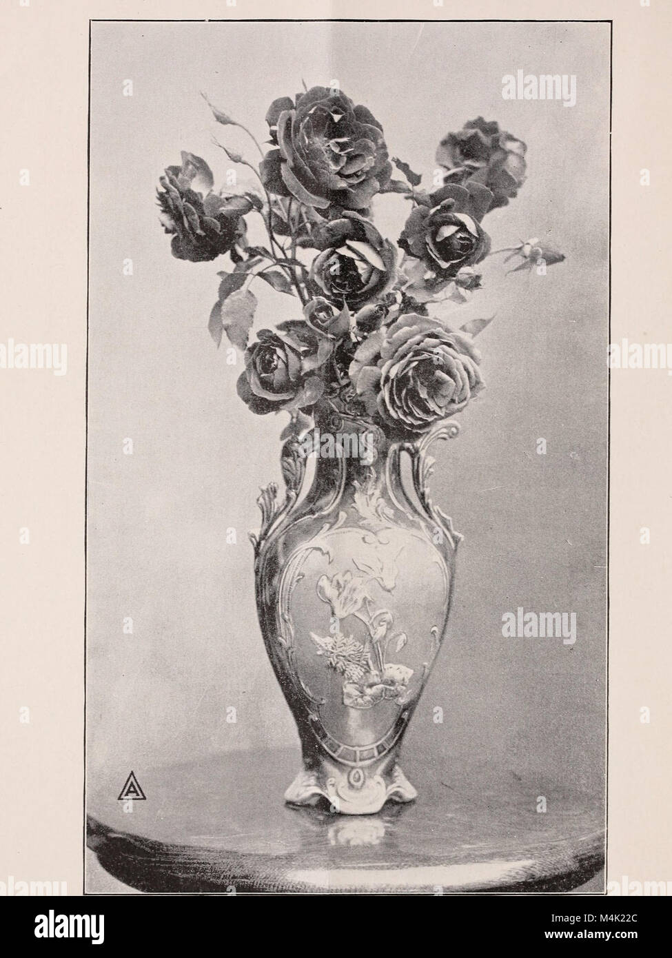 Armstrong Nurseries' 1905 catalog highlights a variety of plants ...