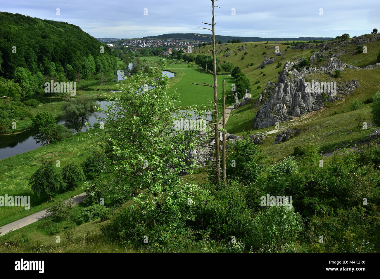 swabian alb; Steinerne Jungfrauen-Valley Eselsburger Tal; Germany; Stock Photo