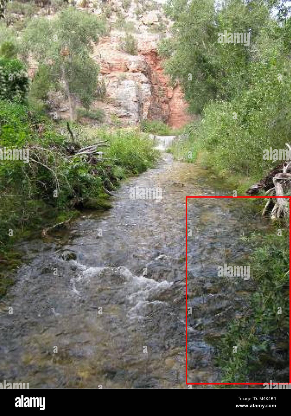 Assessment of aquatic macroinvertebrates in USFS - BLM Lands of the Crooked and Sage Creek Watersheds (electronic resource) (2009) (20354416925) Stock Photo