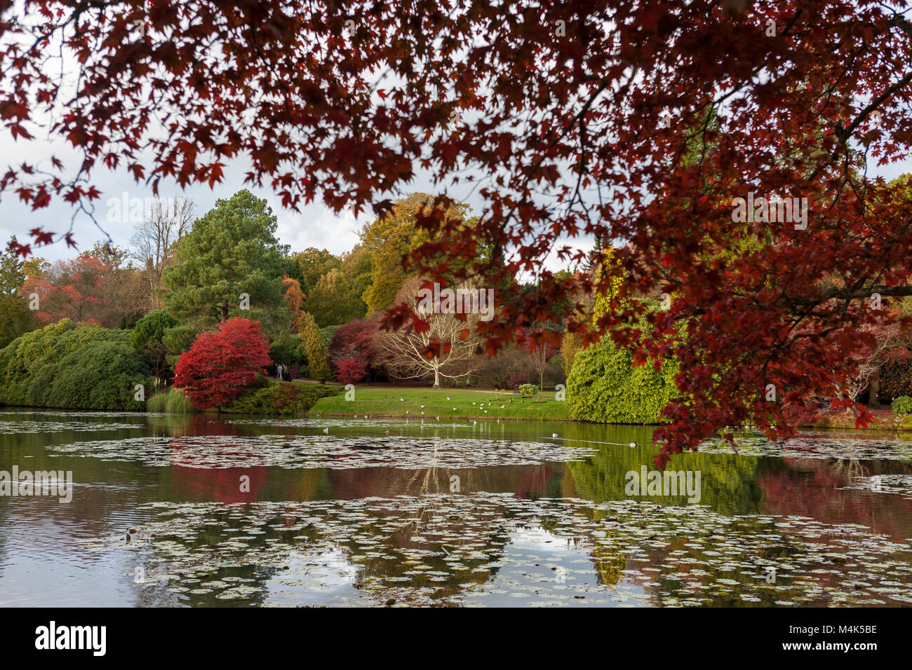 Middle Lake, or Second Lake, Sheffield Park, Uckfield, East Sussex