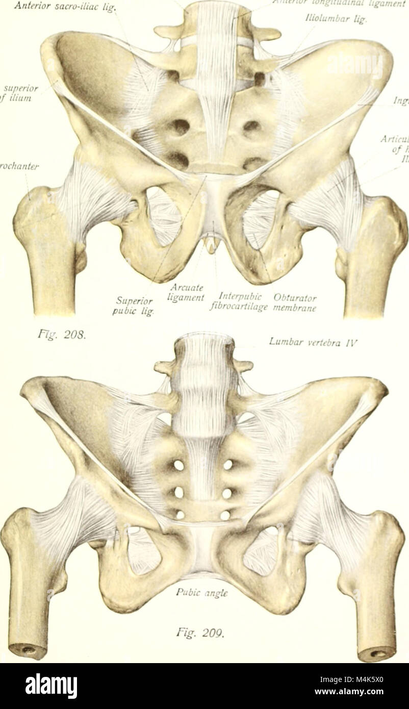 A comprehensive anatomical atlas and textbook published in the early ...