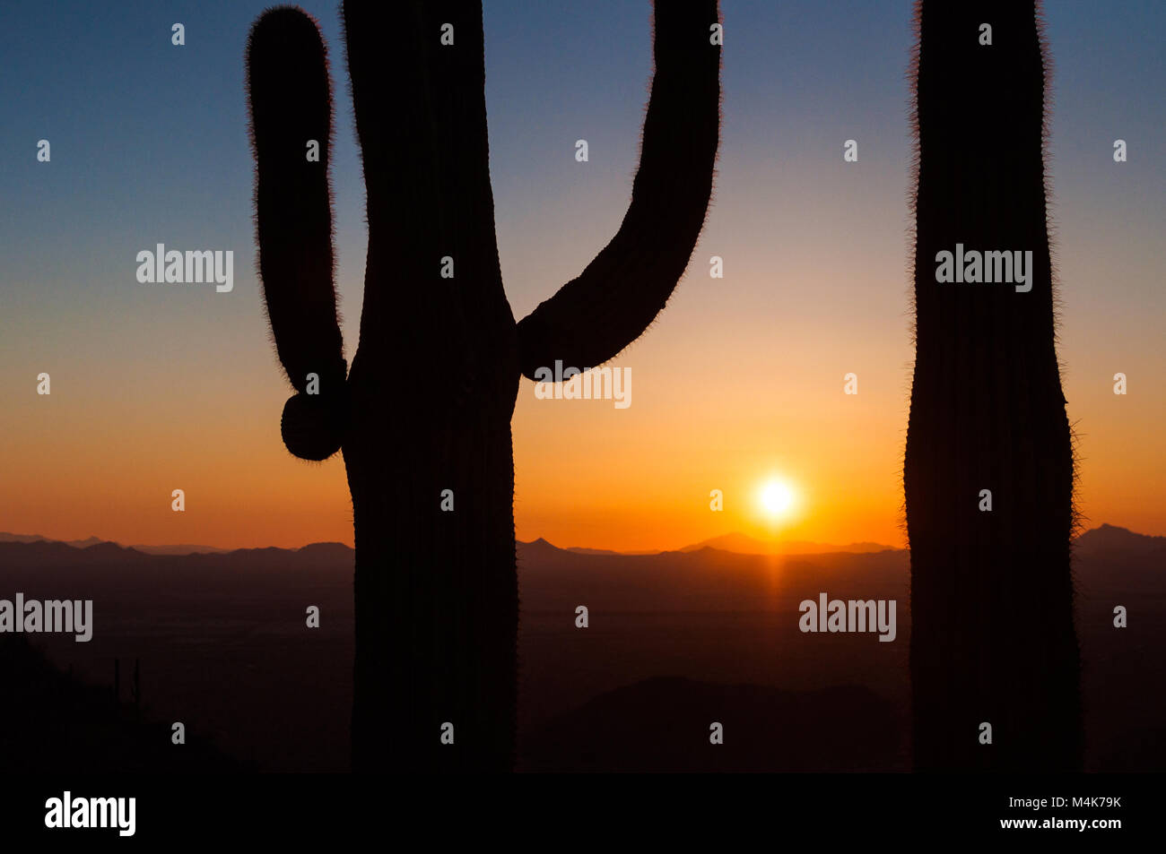 Large Saguaro cactus and mountains in silhouette at sunset, Saguaro National Park, Sonoran Desert, Arizona, USA Stock Photo