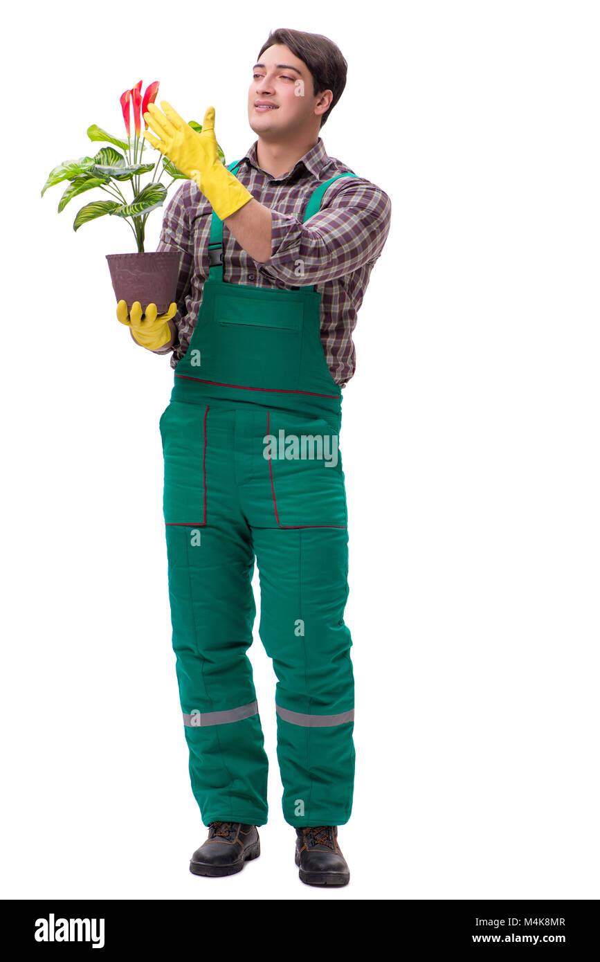 Young man gardener isolated on white Stock Photo - Alamy