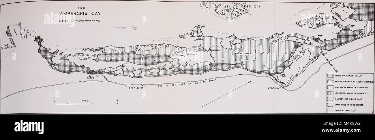The Atoll Research Bulletin, published in 1963, presents scientific ...