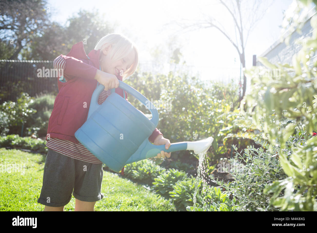 Boy watering plants in the garden Stock Photo - Alamy