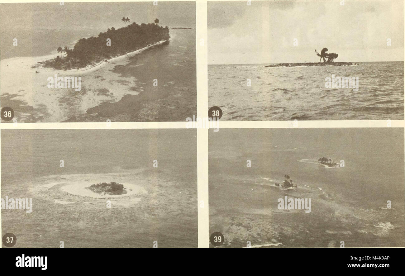 The 1981 Atoll Research Bulletin features studies on coral reef ...
