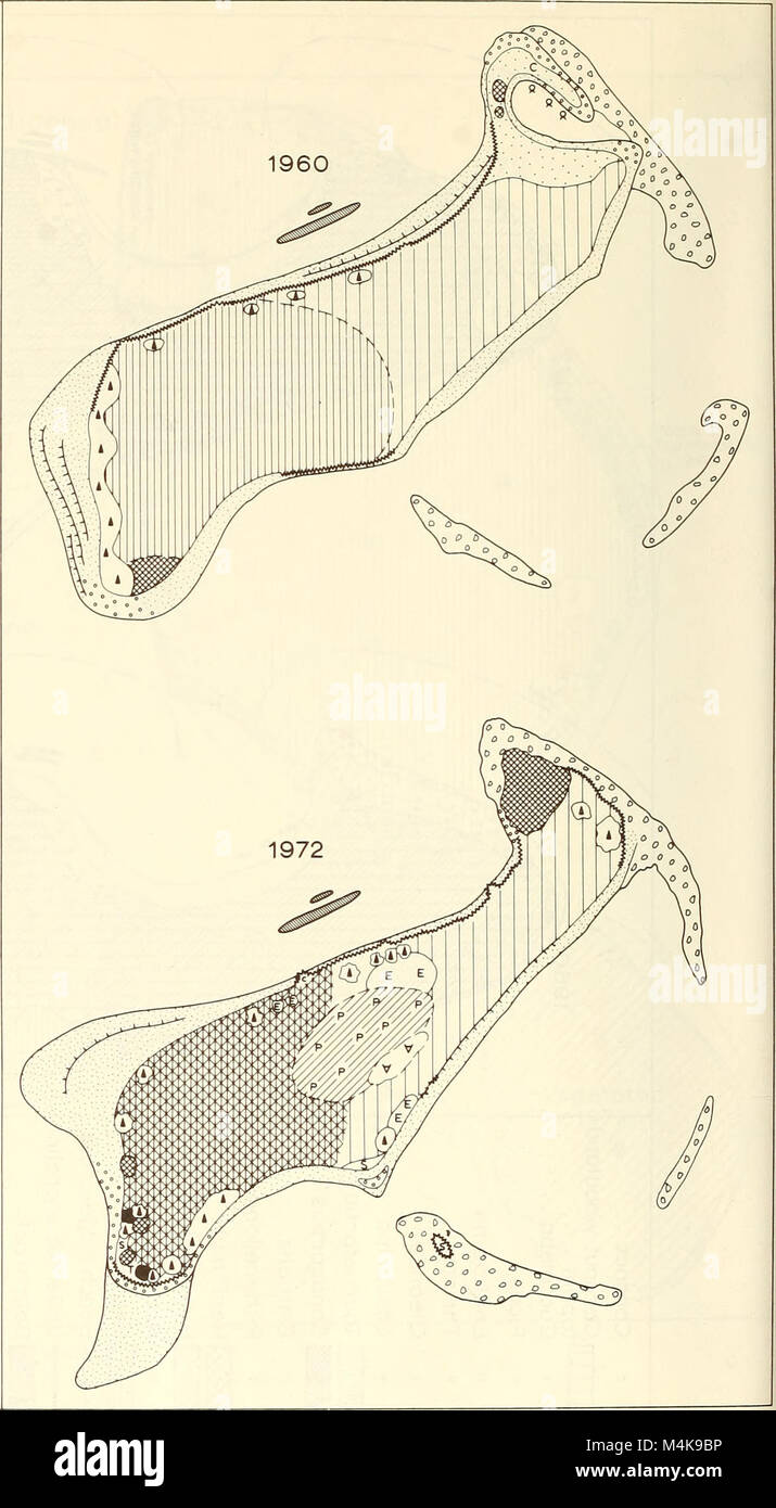 The 'Atoll Research Bulletin' (1981) presents studies on coral reefs ...