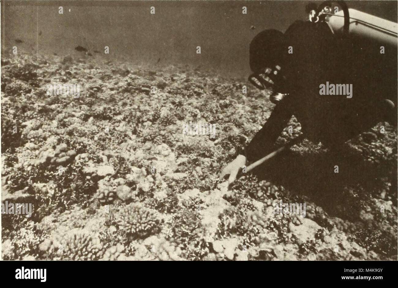 The 'Atoll Research Bulletin' (1994) publishes research related to ...