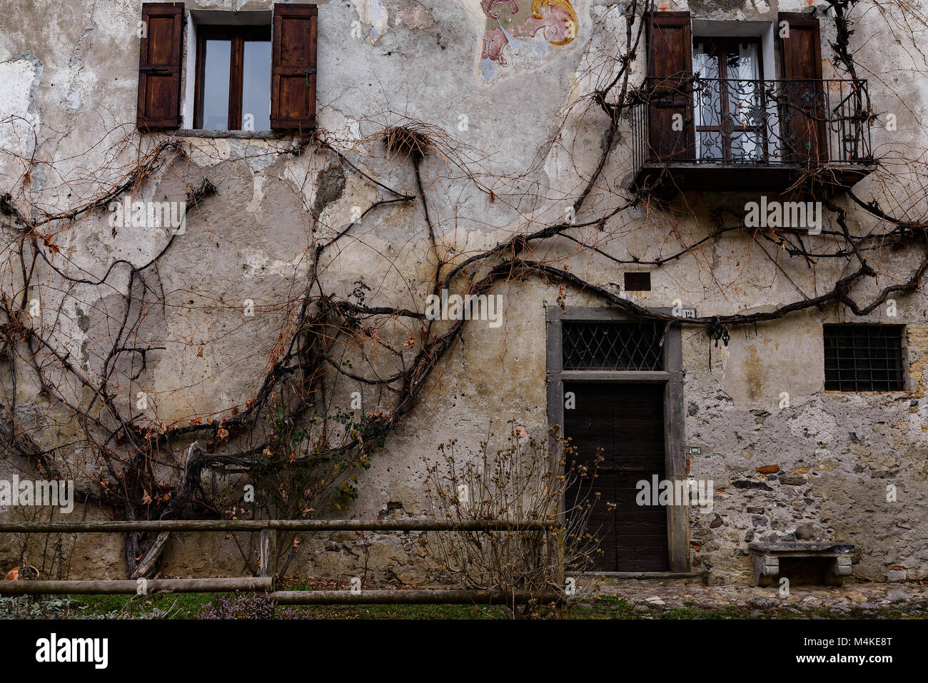 Old house with roots on the walls (architecture image) Stock Photo