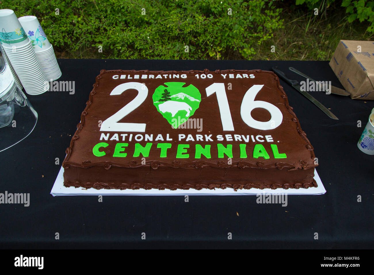 Centennial Cake. Stock Photo