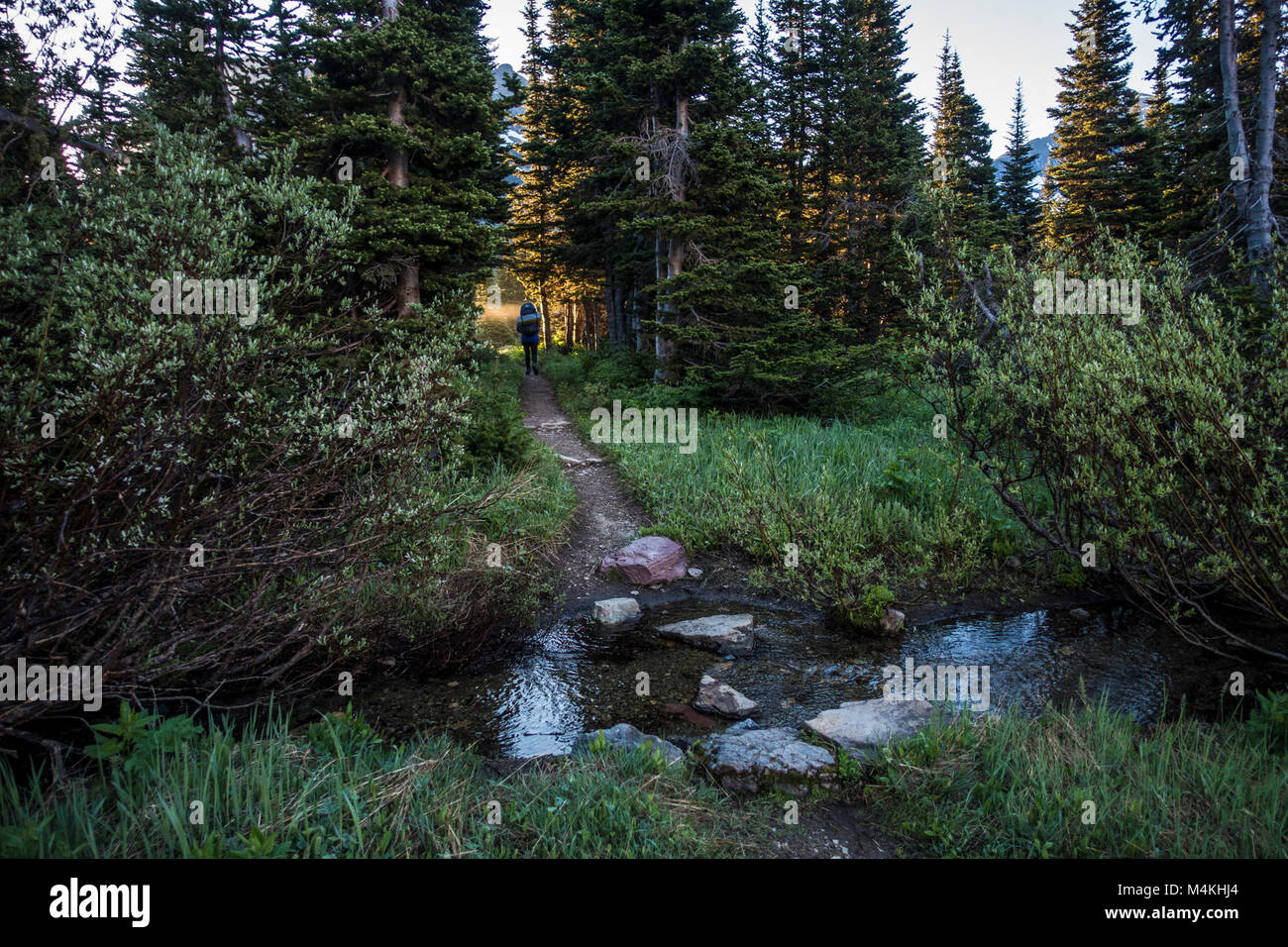 Gunsight Lake Trail..Gunsight Lake Trail Stock Photo Alamy
