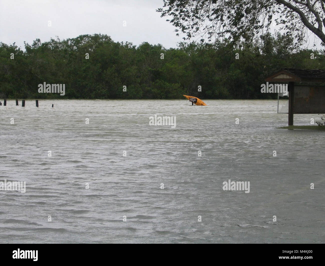 Hurricane Katrina & Wilma . Stock Photo