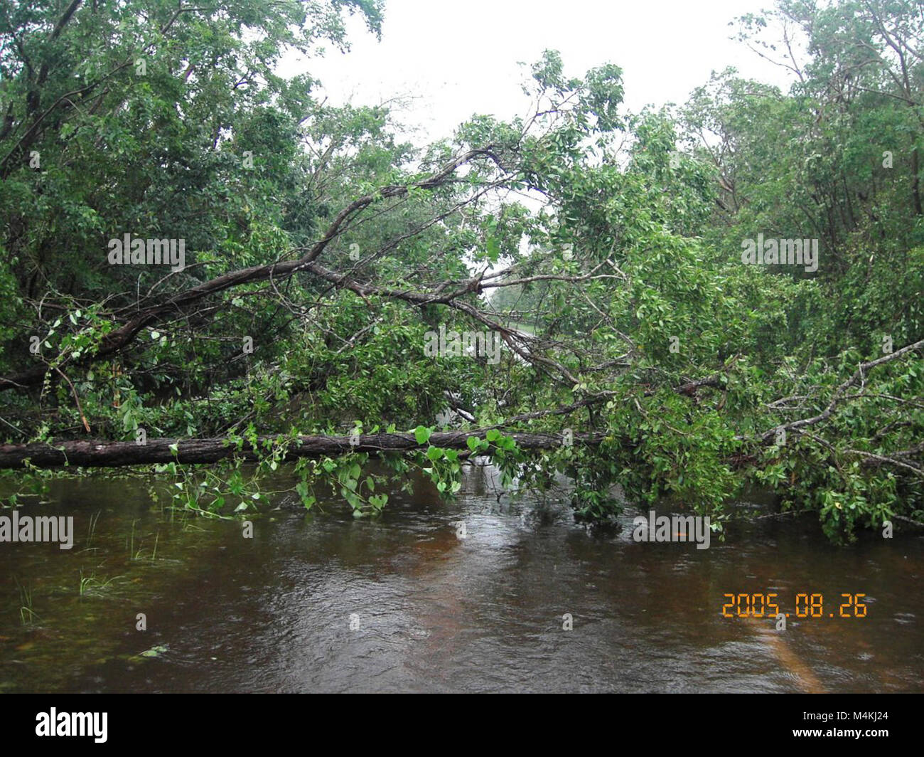 Hurricane Katrina & Wilma . Stock Photo