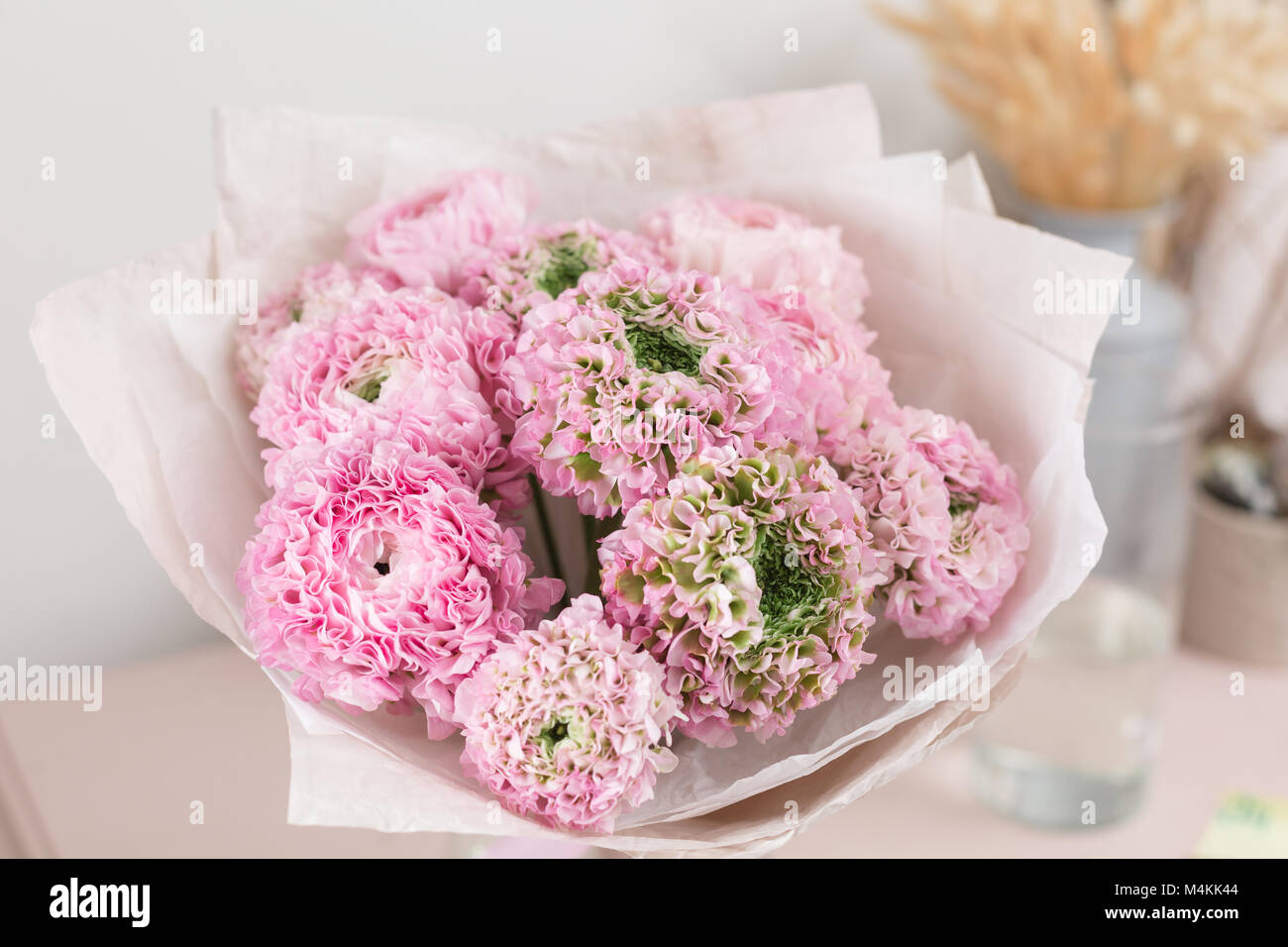 Persian buttercup. lace with many petals. Bunch pale pink ranunculus flowers light background. Wallpaper Stock Photo