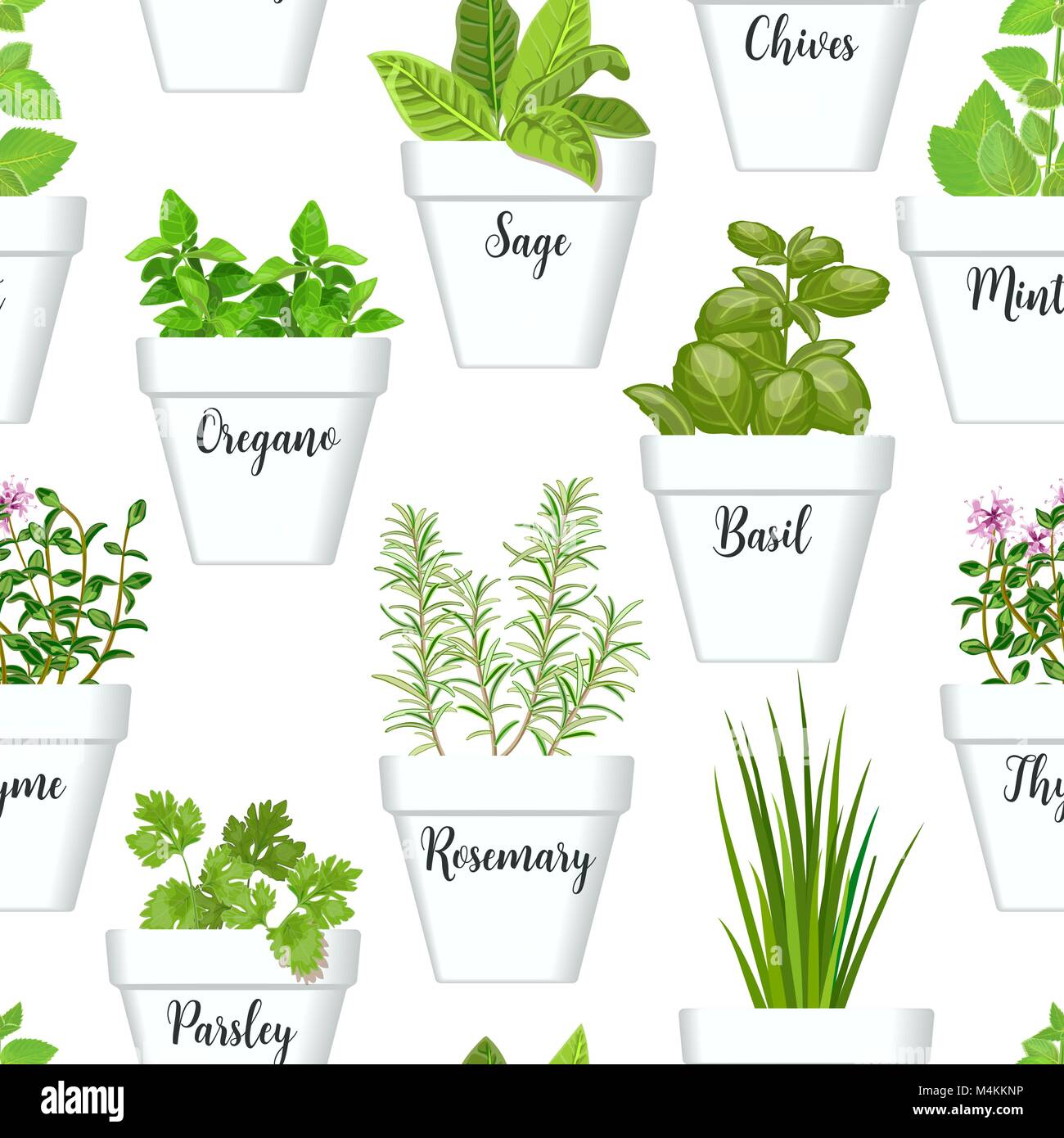 Big icon seamless pattern vector set of culinary herbs in white pots with labels. Green growing basil, sage, rosemary, chives, thyme, parsley, mint, o Stock Vector