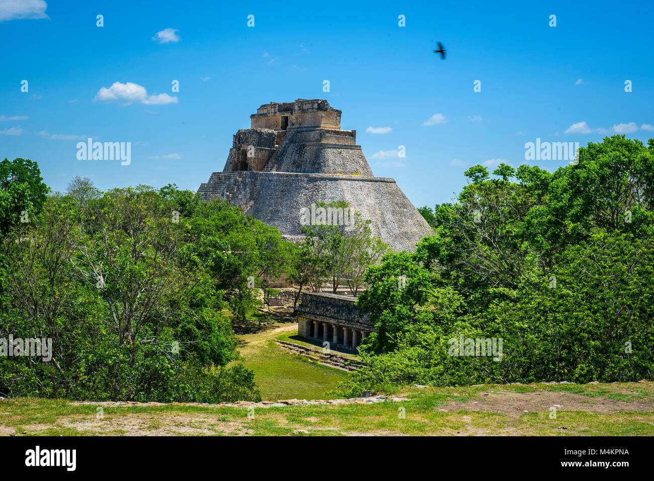 View to the Pyramid of the Magician in prehispanic Mayan city of Uxmal Archaeological Site, Yucatan Province, Mexico, North America Stock Photo