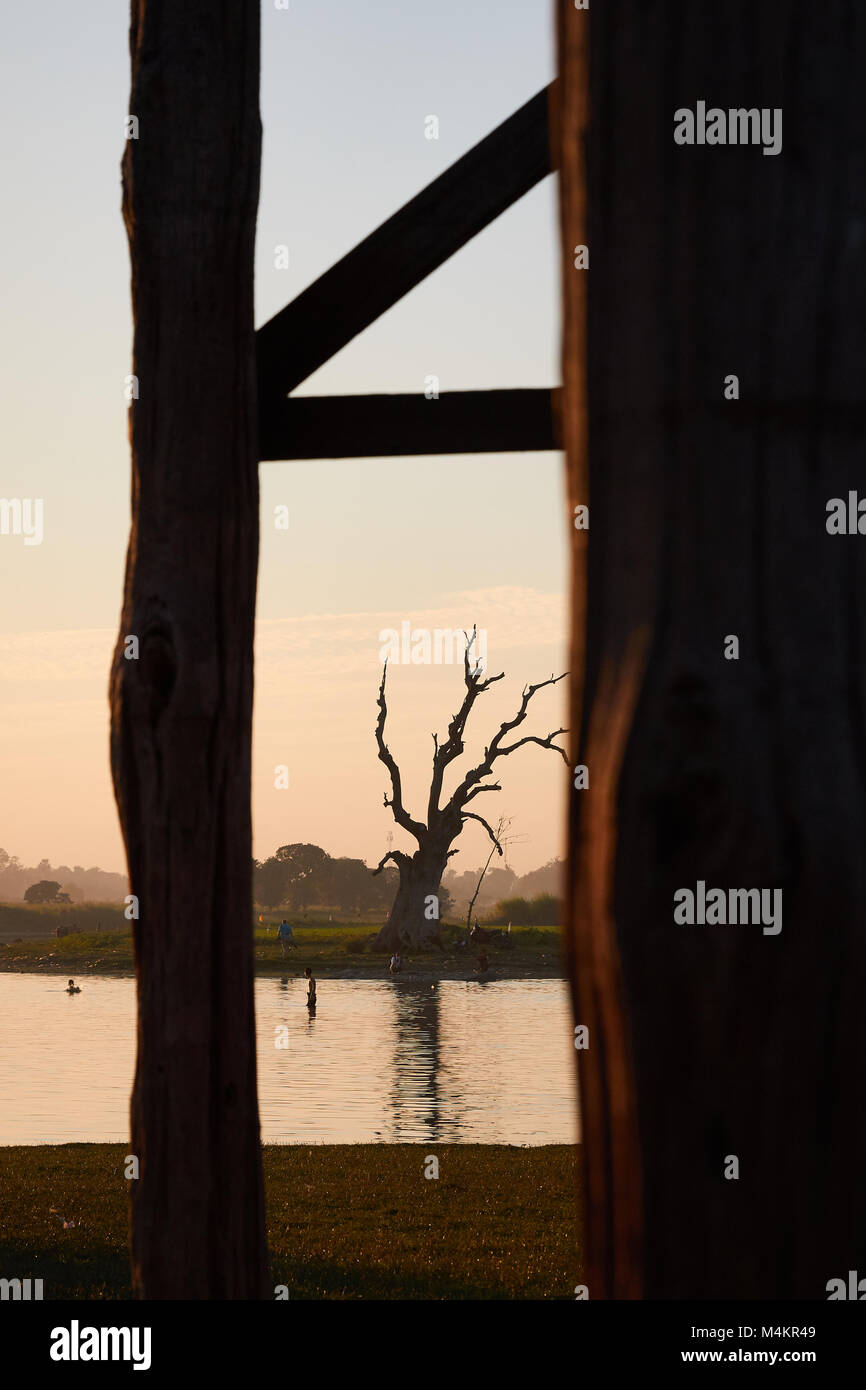 U been bridge, at Amapura, near Mandalay, Burma, Myanmar, Popular tourist attraction place.  Local communities also use this bridge daily. Stock Photo